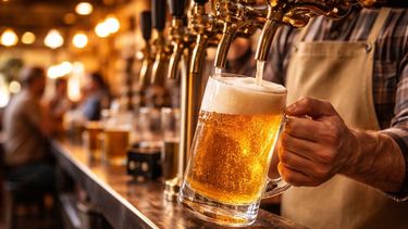 El mes de enero tiene el mayor consumo de cerveza a nivel nacional, impulsado por el calor y por una fuerte asociación cultural entre la bebida y los encuentros sociales. El mes de enero tiene el mayor consumo de cerveza a nivel nacional, impulsado por el calor y por una fuerte asociación cultural entre la bebida y los encuentros sociales.