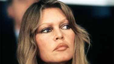 La actriz francesa y defensora de los derechos de los animales Brigitte Bardot asiste a un debate contra la caza de focas en el Consejo de Europa en Estrasburgo, este de Francia, el 23 de enero de 1978. La actriz francesa y defensora de los derechos de los animales Brigitte Bardot asiste a un debate contra la caza de focas en el Consejo de Europa en Estrasburgo, este de Francia, el 23 de enero de 1978.
