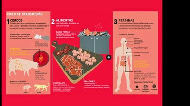 Bromatología a través de la información trabaja en la campaña provincial para evitar casos de triquinosis en el Partido.  (LA OPINION)