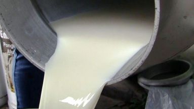 Comercialización de leche suelta y aceites a graneles en Pergamino, un riesgo para la salud