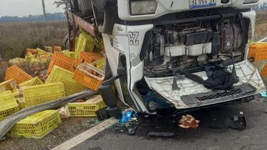 El camionero sufrió lesiones leves y no fue necesario su traslado a un centro de salud. El camionero sufrió lesiones leves y no fue necesario su traslado a un centro de salud.