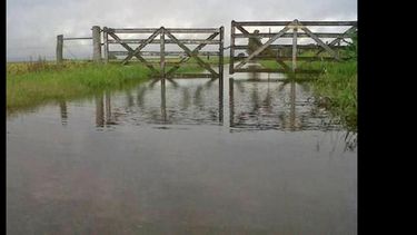 Durante los últimos días en la región se registraron precipitaciones que causaron problemas de cosecha. (ARCHIVO)