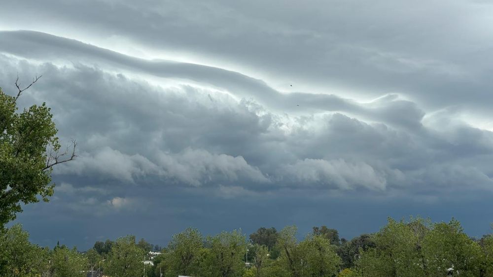 Según informó el Servicio Meteorológico Nacional (SMN), las precipitaciones persistirán durante toda la tarde de este jueves.