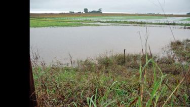Mañana se prevé que las lluvias se reorganicen en la región central del país.  (ARCHIVO LA OPINION)