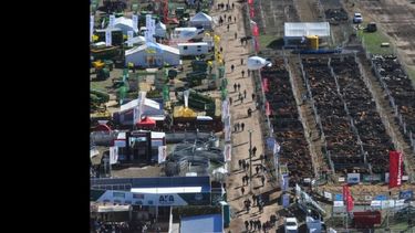 Los capacitadores que se estima participarán en Acción Ganadera serían reconocidos profesionales de la producción ganadera. (AGROACTIVA)