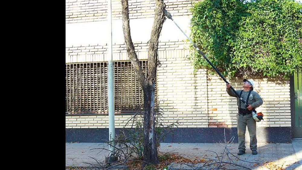 Ayer los trabajos se llevaron a cabo en calle Echevarría. (LA OPINION)
