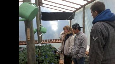 Cabaña Joven ha ido modificando y ampliando su huerta, en la producción de hortalizas, frutas y verduras.  (CABAÑA JOVEN)