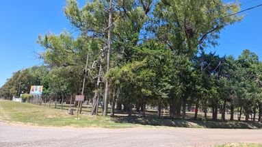 La dirigencia del club de calle Pellegrini contó que “está todo listo para empezar”. Será un espacio cubierto que tendrá espacio suficiente como para ubicar dos canchas de handball. La dirigencia del club de calle Pellegrini contó que “está todo listo para empezar”. Será un espacio cubierto que tendrá espacio suficiente como para ubicar dos canchas de handball.