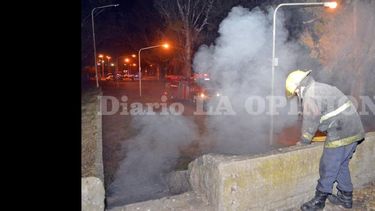 Incendio en el Parque Municipal