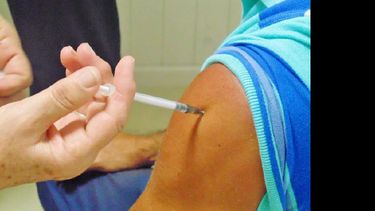 Vacunarse y tomar otras medidas de cuidado: la mejor forma de evitar la gripe. (LA OPINION)