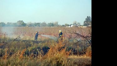 Esta clase de incendios ocasionan varias salidas diarias al cuerpo de Bomberos Voluntarios.  (ARCHIVO LA OPINION)