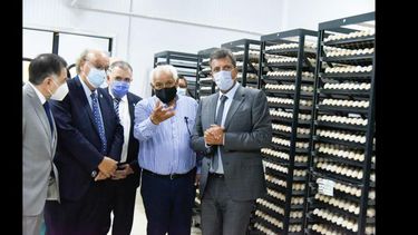 Massa destacó que por primera vez en la historia, el Congreso va a tratar un acuerdo con el Fondo. Massa destacó que por primera vez en la historia, el Congreso va a tratar un acuerdo con el Fondo.