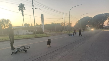 Choque de una bicicleta y una motocicleta en San Nicolás. Choque de una bicicleta y una motocicleta en San Nicolás.
