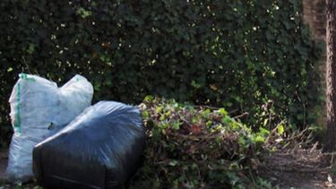 pergamino tiene su cronograma para la recoleccion de los residuos voluminosos en abril pergamino tiene su cronograma para la recoleccion de los residuos voluminosos en abril