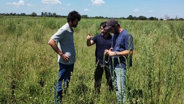 El primer Parque Solar de Pergamino ya es una realidad: comenzaron las obras en el predio