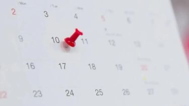 el gobierno movio un feriado de noviembre y habra otro fin de semana extra largo el gobierno movio un feriado de noviembre y habra otro fin de semana extra largo