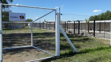 Los caniles municipales se ubican en un predio en la exQuinta Mastrángelo.