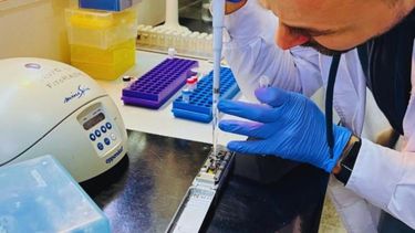 El logro marca un hito científico que permitirá diseñar estrategias más eficientes para el control del insecto. El logro marca un hito científico que permitirá diseñar estrategias más eficientes para el control del insecto.