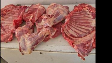 Carne secuestrada por abigeato y faena clandestina.  (LA OPINION)