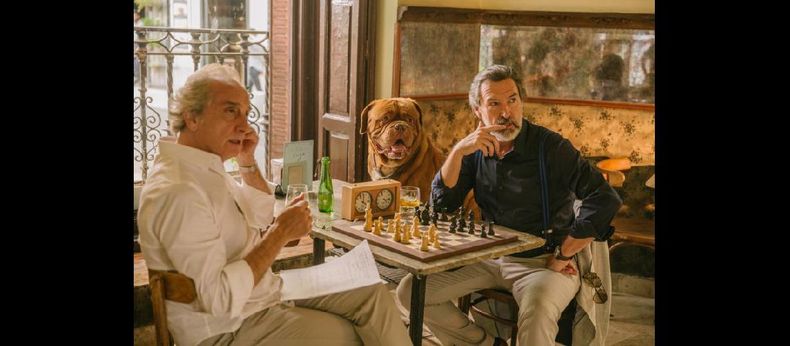 La maldición del guapo, coproducción argentino española, se podrá ver este jueves y el sábado, a las 20:00, por Cine.ar TV (frecuencia 216 de Dibox/Canal 4). (NOESCINETODOLOQUERELUCE)