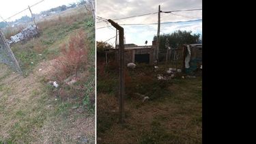 La rotura del tejido perimetral de la cancha y bolsas de basura dentro del predio del Club Leandro N. Alem. (FACEBOOK: LEANDRO N. ALEM)