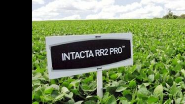 La patente RR2 conocida como Intacta, en el ojo de la tormenta. (INTERNET)