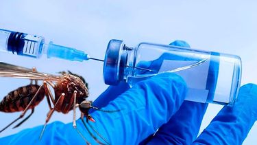 Desde el inicio de la campaña, en septiembre pasado, personas de entre 15 y 59 años continúan acercándose al vacunatorio del Hospital San Felipe para aplicarse la vacuna contra el dengue, tras el turno otorgado por el Ministerio de Salud. Desde el inicio de la campaña, en septiembre pasado, personas de entre 15 y 59 años continúan acercándose al vacunatorio del Hospital San Felipe para aplicarse la vacuna contra el dengue, tras el turno otorgado por el Ministerio de Salud.