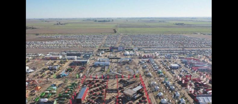 Sí hay un cierto consenso con respecto a que habría que esperar que pase el invierno, señaló al respecto la presidente de la muestra, Rosana Nardi. (AGROACTIVA)