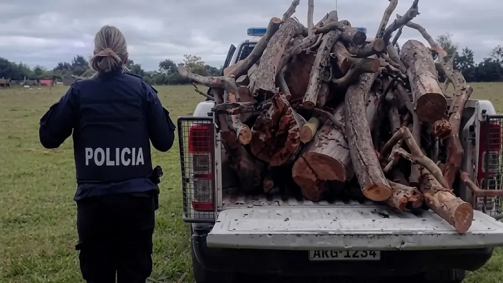 Personal del Destacamento de La Tosquera encabezó este viernes un operativo de allanamiento en el marco de una investigación por un hecho de robo denunciado por una mujer de la zona. Personal del Destacamento de La Tosquera encabezó este viernes un operativo de allanamiento en el marco de una investigación por un hecho de robo denunciado por una mujer de la zona.