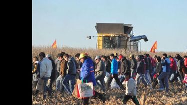 Durante los cuatro días de exposición habrá actividades para todos los gustos del productor. (AGROACTIVA)