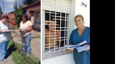 Promotoras de salud realizaron visitas para relevar casos febriles y brindar información en distintos puntos. (GOBIERNO DE PERGAMINO)