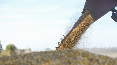 Los operadores que se encontraban inscriptos en el RUCA no deberán realizar ningún trámite adicional. Los operadores que se encontraban inscriptos en el RUCA no deberán realizar ningún trámite adicional.