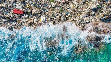 Desde el Programa de las Naciones Unidas para el Medio Ambiente (Pnuma) advierten que la naturaleza se encuentra en situación de emergencia. Desde el Programa de las Naciones Unidas para el Medio Ambiente (Pnuma) advierten que la naturaleza se encuentra en situación de emergencia.