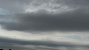 La jornada de este viernes se mantendrá inestable en Pergamino. La jornada de este viernes se mantendrá inestable en Pergamino.