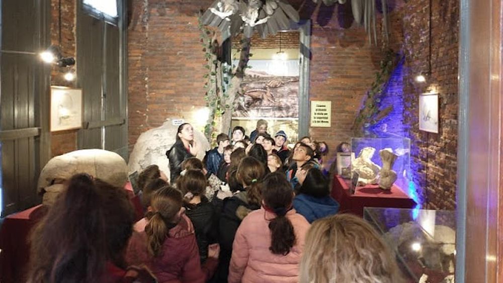 El Museo Paleontológico Fray Manuel de Torres celebra hoy sus 23 años de trayectoria ininterrumpida. El Museo Paleontológico Fray Manuel de Torres celebra hoy sus 23 años de trayectoria ininterrumpida.