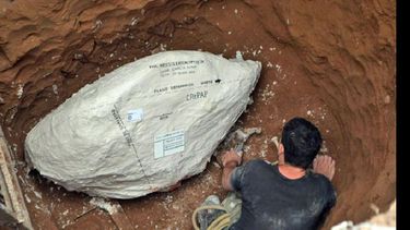 El gliptodonte era un enorme mamífero prehistórico que vivió en América del sur.  (EL NUEVO ROJENSE)