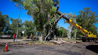 paseo ribereno: retiraron las ramas secas y mejoran iluminacion en los sectores claves paseo ribereno: retiraron las ramas secas y mejoran iluminacion en los sectores claves
