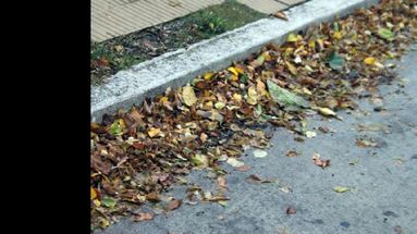 El trabajo se viene haciendo en las calles de nuestra ciudad. (LA OPINION)