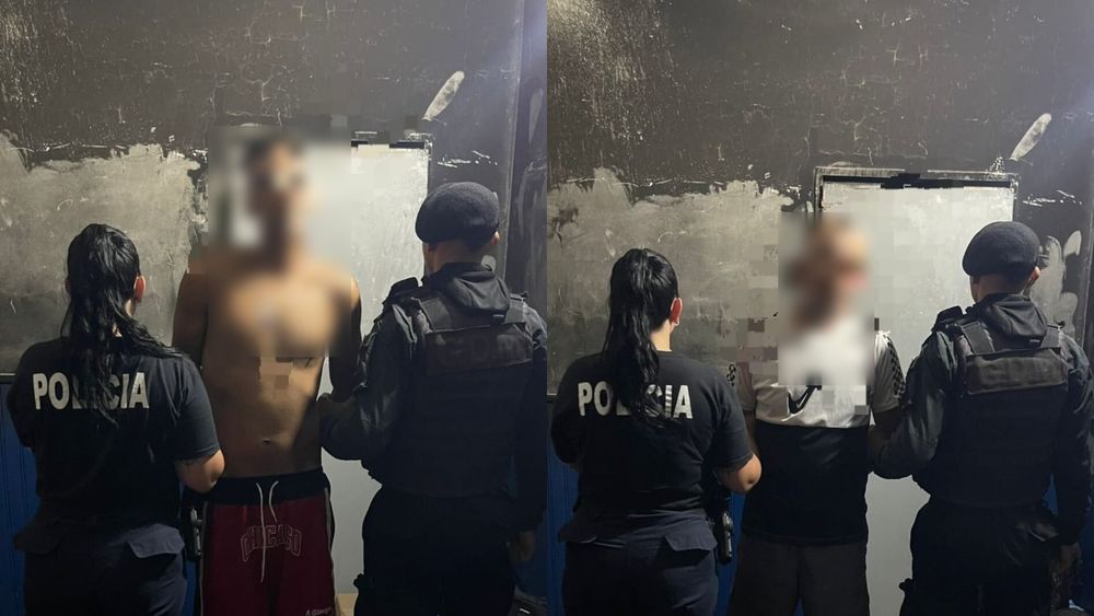 Abigeato en Mariano H. Alfonzo: recuperaron un cerdo robado en un criadero y aprehenden a los dos sospechosos Abigeato en Mariano H. Alfonzo: recuperaron un cerdo robado en un criadero y aprehenden a los dos sospechosos