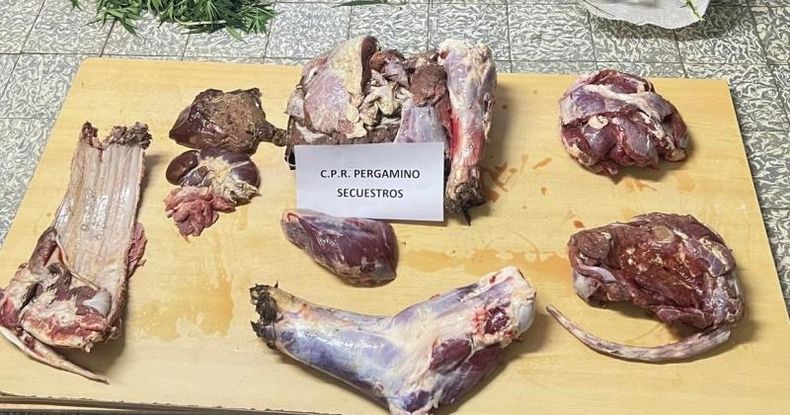 Los cortes de carne presentaban irregularidades, falta de desangrado y restos de tierra y pasto que acreditaría la procedencia de faena ilegal.