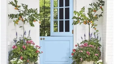 Dividen sin cerrar, suman diseño y recuperan un gesto clásico con mirada contemporánea. Dividen sin cerrar, suman diseño y recuperan un gesto clásico con mirada contemporánea.