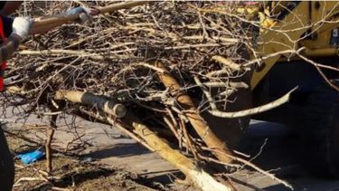 la recoleccion de residuos voluminosos tiene listo el cronograma de febrero la recoleccion de residuos voluminosos tiene listo el cronograma de febrero