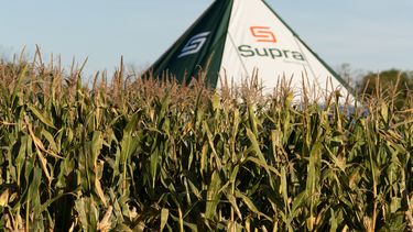 SUPRA SEMILLAS estará en este simposio para encontrarse con productores y asesores técnicos. SUPRA SEMILLAS estará en este simposio para encontrarse con productores y asesores técnicos.