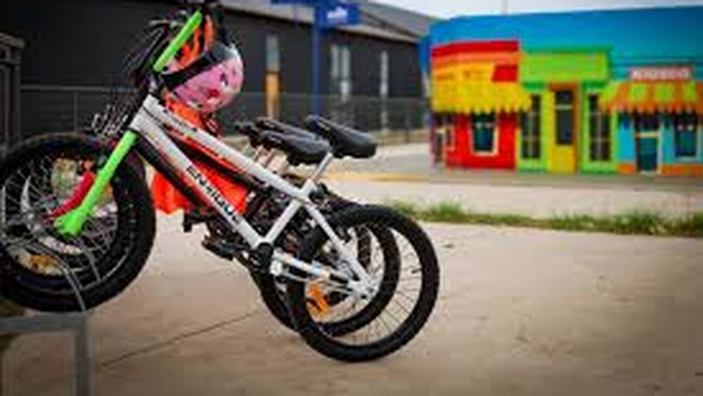 Educación Vial orientada a personas con discapacidad Educación Vial orientada a personas con discapacidad