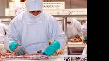 Importante labor lleva a cabo Bromatología municipal. (LA OPINION)