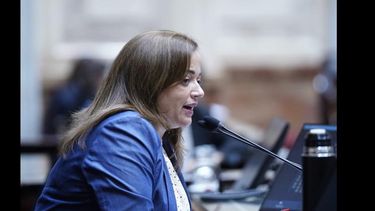 La presidenta de la Cámara de Diputados, Cecilia Moreau. La presidenta de la Cámara de Diputados, Cecilia Moreau.