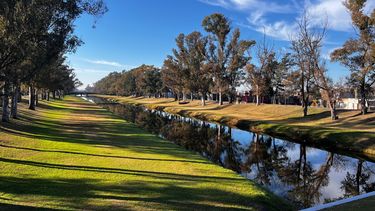 La primavera, estación que muchos asocian con las flores, la alegría y la renovación, comienza a desplegarse en la región. La primavera, estación que muchos asocian con las flores, la alegría y la renovación, comienza a desplegarse en la región.