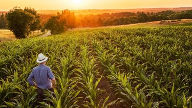 La etapa de preinscripción se encuentra habilitada hasta el 10 de enero y define el universo de productores que podrán participar del piloto. La etapa de preinscripción se encuentra habilitada hasta el 10 de enero y define el universo de productores que podrán participar del piloto.
