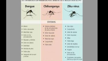 Un mismo mosquito, tres enfermedades. (INTERNET)
