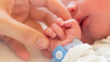 El descenso en la cantidad de nacimientos en San Pedro ha sido constante desde 2020, cuando se registraron 970 nacimientos. En los años siguientes, la curva descendente marcó 806 en 2021, 768 en 2022, 702 en 2023 y 623 en 2024. El año pasado, apenas nacieron 538 niños, 278 niñas y 260 varones, una cifra alarmante que preocupa a las autoridades locales. El descenso en la cantidad de nacimientos en San Pedro ha sido constante desde 2020, cuando se registraron 970 nacimientos. En los años siguientes, la curva descendente marcó 806 en 2021, 768 en 2022, 702 en 2023 y 623 en 2024. El año pasado, apenas nacieron 538 niños, 278 niñas y 260 varones, una cifra alarmante que preocupa a las autoridades locales.